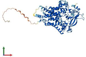 Protein Structure (PS) image for Lipase Maturation Factor 1 (LMF1) (AA 1-567) protein (His tag) (ABIN7549075)