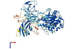 PKC eta Protein (AA 1-683) (His tag)