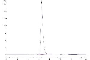 Size-exclusion chromatography-High Pressure Liquid Chromatography (SEC-HPLC) image for AXL Receptor tyrosine Kinase (AXL) (AA 26-449) protein (His-Avi Tag) (ABIN7273884)