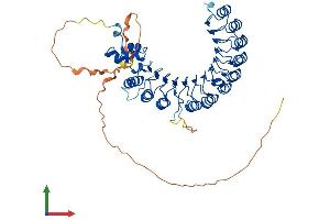Protein Structure (PS) image for F-Box and Leucine-Rich Repeat Protein 7 (FBXL7) (AA 1-491) protein (His tag) (ABIN7547677)