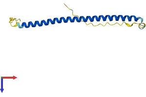 BATF Protein (AA 1-125) (His tag)