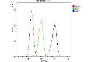 Flow Cytometry analysis of A431 cells using anti-SAE2/UBA2 antibody (ABIN5692937).