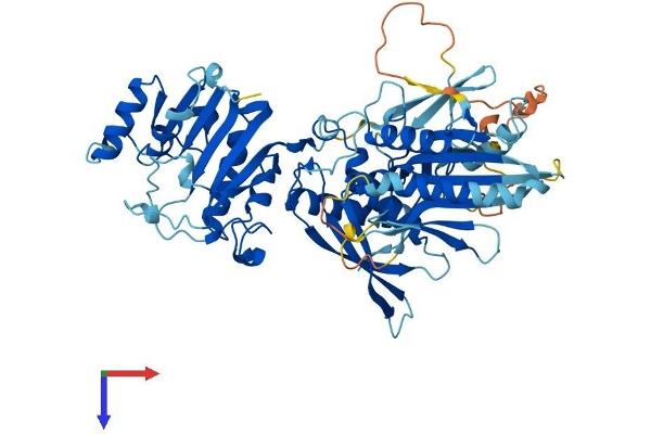 FDXACB1 Protein (AA 1-622) (His tag)