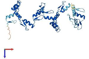 AlphaFold protein structure predicition of Human Recombinant ZNF883 Protein, UniprotID P0CG24 (ZNF883 Protein (AA 1-379) (His tag))