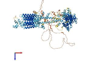 ADCY5 Protein (AA 1-1261) (His tag)