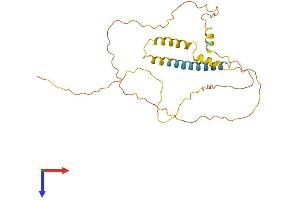 SYNDIG1 Protein (AA 1-258) (His tag)