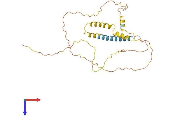 SYNDIG1 Protein (AA 1-258) (His tag)