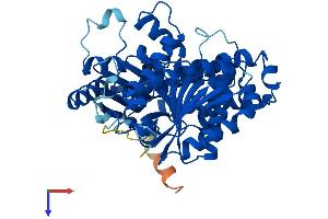 TUBB4 Protein (AA 1-444) (His tag)