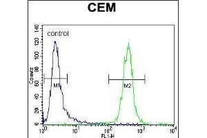 TNF Antibody (C-term) (ABIN657455 and ABIN2846482) flow cytometric analysis of CEM cells (right histogram) compared to a negative control cell (left histogram). (TNF alpha Antikörper  (C-Term))