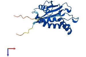 TRAPPC3 Protein (AA 1-180) (His tag)