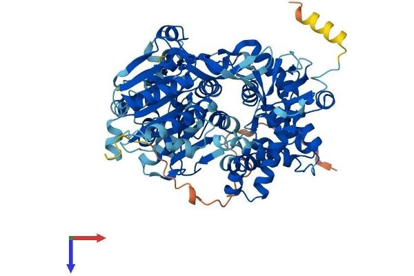 DHX35 Protein (AA 1-703) (His tag)