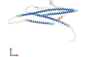 Protein Structure (PS) image for Coiled-Coil Domain Containing 78 (CCDC78) (AA 1-437) protein (His tag) (ABIN7562109)