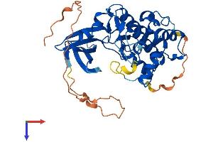 TRIB2 Protein (AA 1-343) (His tag)