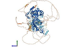 Protein Structure (PS) image for Lysine (K)-Specific Demethylase 3A (KDM3A) (AA 1-1321) protein (His tag) (ABIN7554327)