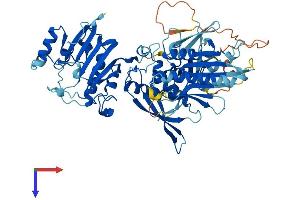 FDXACB1 Protein (AA 1-624) (His tag)