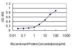 Detection limit for recombinant GST tagged TAF1 is approximately 0. (TAF1 Antikörper  (AA 1784-1893))
