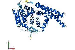 Protein Structure (PS) image for UDP-Glucose Ceramide Glucosyltransferase (UGCG) (AA 1-394) protein (His tag) (ABIN7553349)