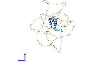 Protein Structure (PS) image for EVX1 (EVX1) (AA 1-407) protein (His tag) (ABIN7547486)