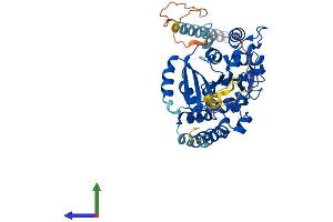 Protein Structure (PS) image for Glucoside Xylosyltransferase 1 (GXYLT1) (AA 1-440) protein (His tag) (ABIN7548194)