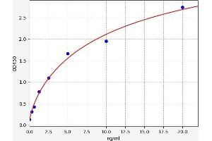 CYP11A1 ELISA Kit