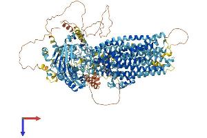 CFTR Protein (AA 1-1476) (His tag)