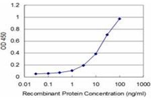 Detection limit for recombinant GST tagged PBX3 is approximately 3ng/ml as a capture antibody. (PBX3 Antikörper  (AA 342-434))