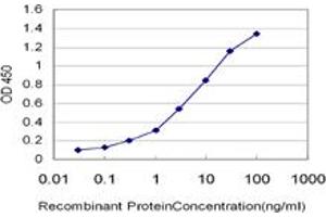 Detection limit for recombinant GST tagged CD40 is approximately 0. (CD40 Antikörper  (AA 1-151))