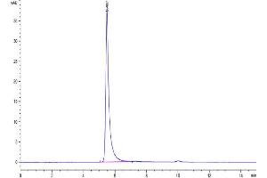 Size-exclusion chromatography-High Pressure Liquid Chromatography (SEC-HPLC) image for Integrin alpha V, Integrin beta 3 (ITGAV/ITGB3) (AA 31-992) protein (His-Avi Tag,Biotin) (ABIN7275060)