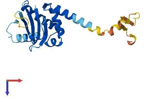 AP3S2 Protein (AA 1-193) (His tag)
