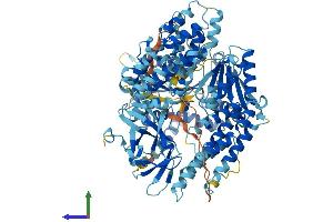 Protein Structure (PS) image for DEAD (Asp-Glu-Ala-Asp) Box Polypeptide 58 (DDX58) (AA 1-926) protein (His tag) (ABIN7564141)