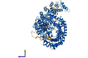 Protein Structure (PS) image for Importin 8 (IPO8) (AA 1-1010) protein (His tag) (ABIN7564191)