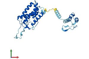 AlphaFold protein structure predicition of Human Recombinant PI4KAP1 Protein, UniprotID Q8N8J0