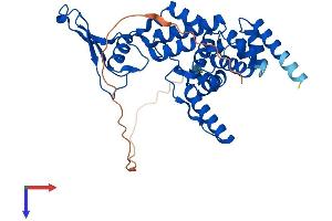 MRPS22 Protein (AA 1-359) (His tag)