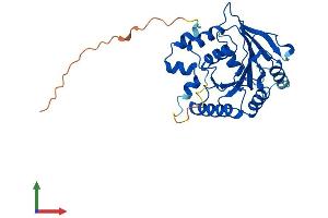 AlphaFold protein structure predicition of Mouse Recombinant Gtpbp8 Protein, UniprotID Q9CY28