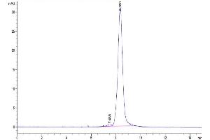 Size-exclusion chromatography-High Pressure Liquid Chromatography (SEC-HPLC) image for Leukocyte Immunoglobulin-Like Receptor, Subfamily A (Without TM Domain), Member 3 (LILRA3) (AA 24-439) protein (His-Avi Tag,Biotin) (ABIN7275178)