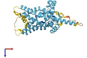 SLC25A22 Protein (AA 1-323) (His tag)
