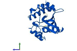 Protein Structure (PS) image for Spermidine/Spermine N1-Acetyltransferase 2 (SAT2) (AA 1-170) protein (His tag) (ABIN7545890)