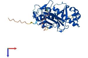 AASDHPPT Protein (AA 1-309) (His tag)