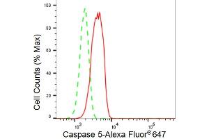 Flow cytometric analysis of Caspase 5 expression in HT- cells using Caspase 5 antibody (ABIN7797897), 1:2,000). (Rekombinanter CASP5 Antikörper)
