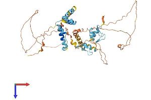 ZNF446 Protein (AA 1-450) (His tag)
