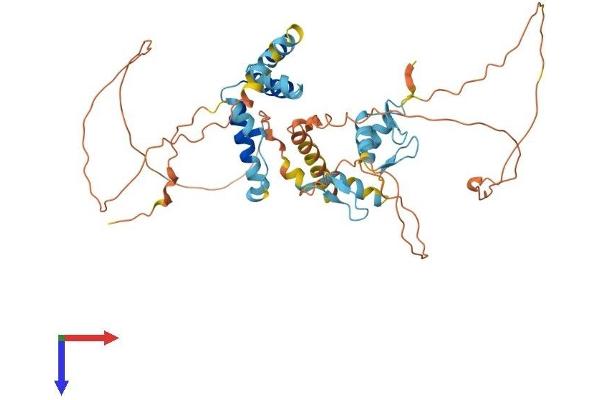 ZNF446 Protein (AA 1-450) (His tag)