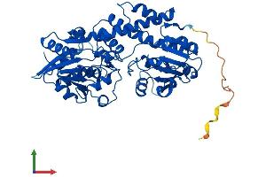 Protein Structure (PS) image for UDP-Glucose 6-Dehydrogenase (UGDH) (AA 1-494) protein (His tag) (ABIN7544954)