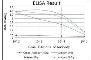 ELISA image for anti-Bone Morphogenetic Protein Receptor, Type II (serine/threonine Kinase) (BMPR2) antibody (ABIN968988)