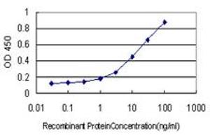 Detection limit for recombinant GST tagged ODZ1 is approximately 1ng/ml as a capture antibody. (ODZ1/Teneurin 1 Antikörper  (AA 2616-2725))