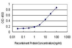 Detection limit for recombinant GST tagged ODZ1 is approximately 1ng/ml as a capture antibody.