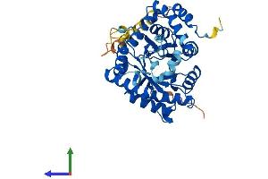 Protein Structure (PS) image for Potassium Voltage-Gated Channel, Shaker-Related Subfamily, beta Member 1 (KCNAB1) (AA 1-401) protein (His tag) (ABIN7563504)