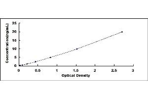 Typical standard curve (Hsc70 ELISA Kit)