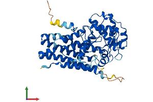 Protein Structure (PS) image for Indoleamine 2,3-Dioxygenase 1 (IDO1) (AA 1-407) protein (His tag) (ABIN7563067)