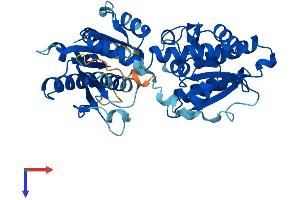 ALG2 Protein (AA 1-415) (His tag)