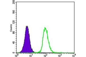 Flow Cytometry (FACS) image for anti-Glutathione S-Transferase pi 1 (GSTP1) antibody (ABIN1724656)